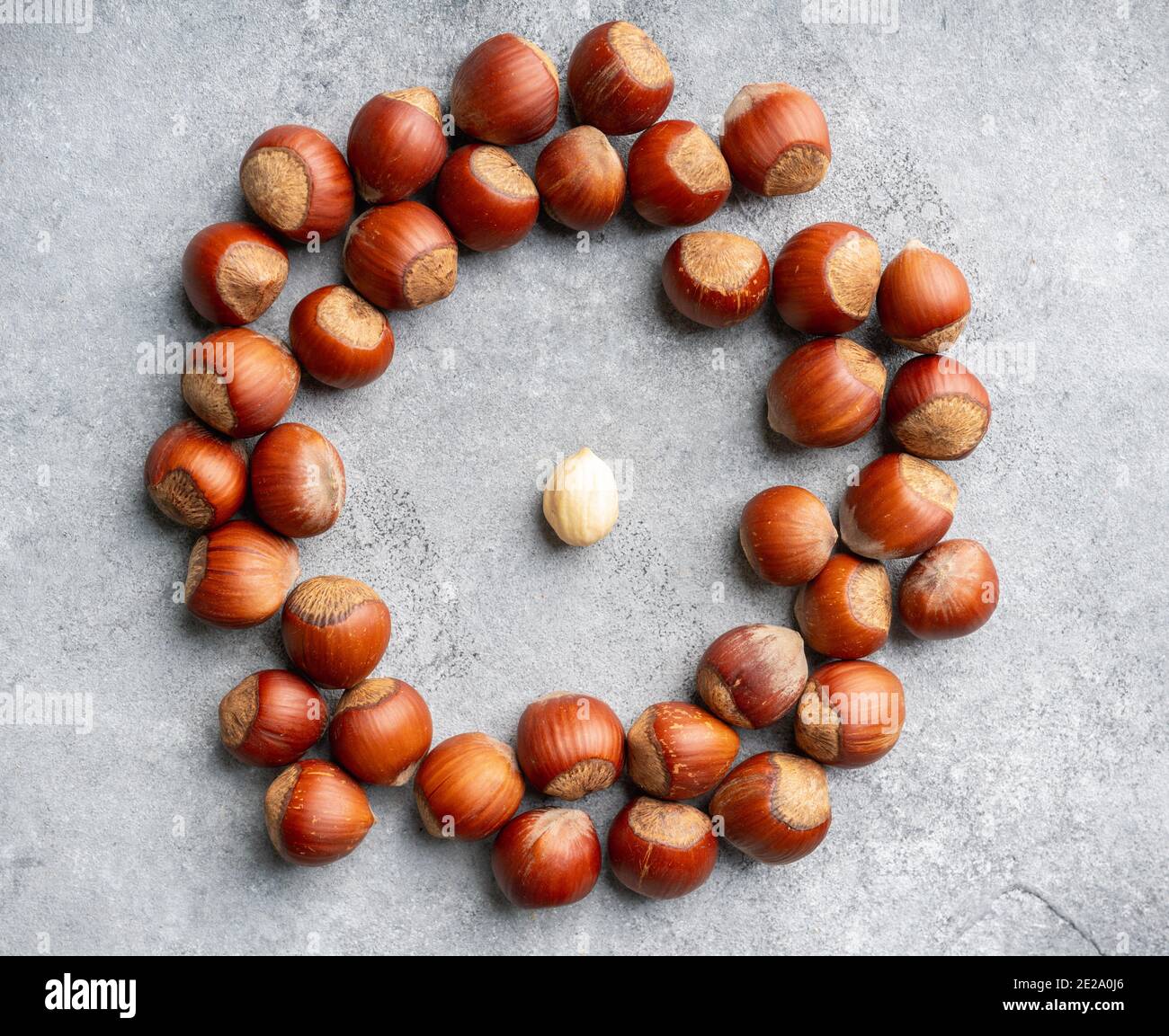 Hazelnuts peeled and in shell on gray background. Background and textures. Stock Photo