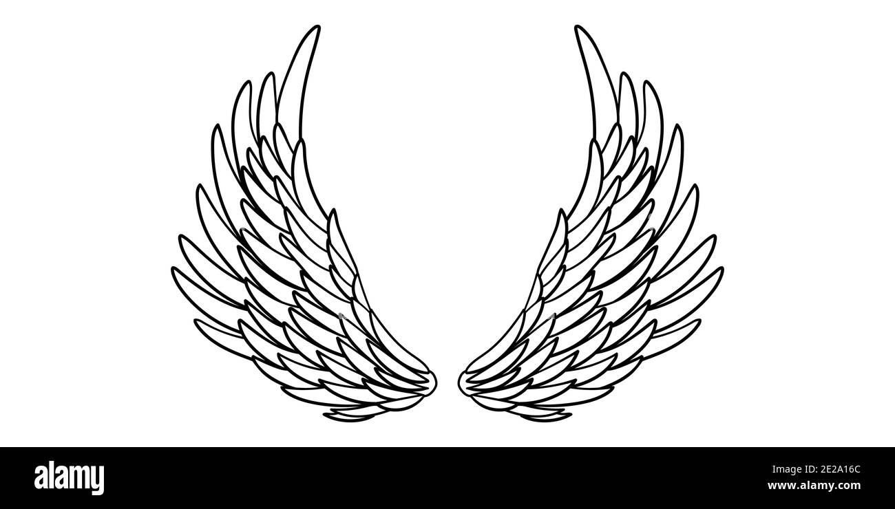Angel or bird wings abstract sketch isolated on white. doodle illustration Stock Photo