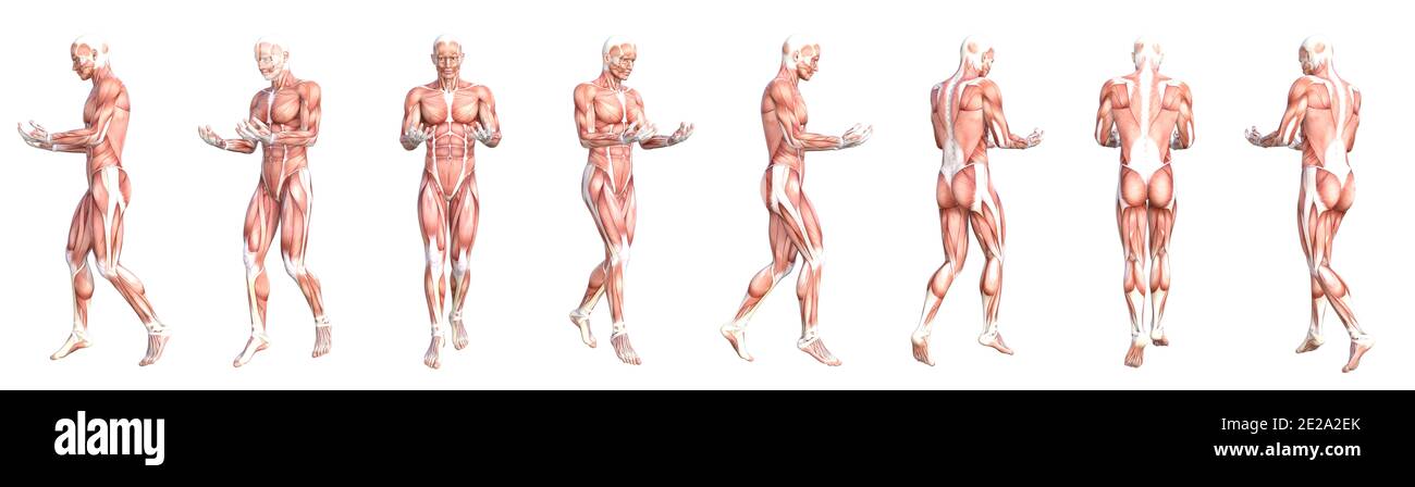 How to Draw Female sitting pose | Female body anatomy drawing - YouTube