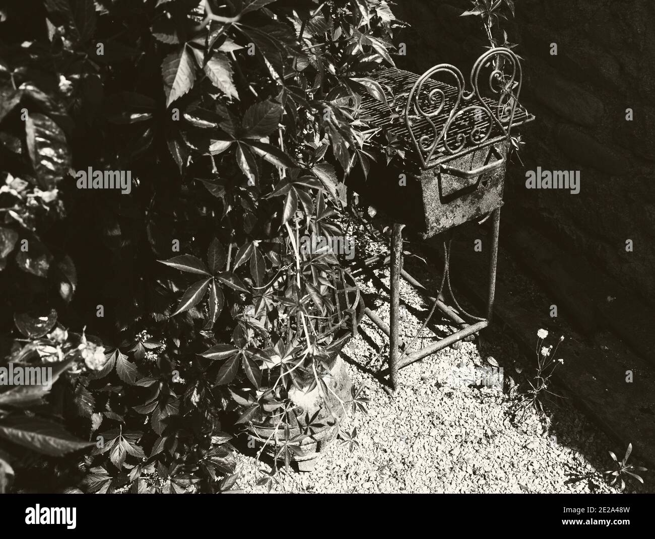 Abandoned antique bbq grills with rusty beautiful forging in countryside house garden. Sepia photo Stock Photo