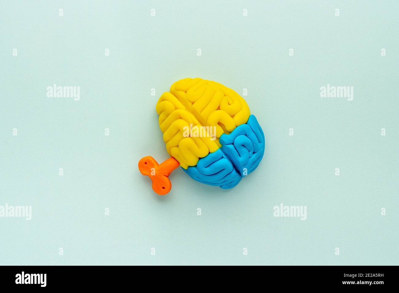 Clay model of human brain hi-res stock photography and images - Alamy