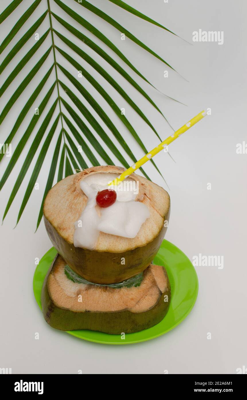 Coconut Milk Shake presented in cut green coconut. Coconut Tree Branch in the background,  Top Angle View, Studio Shot Stock Photo