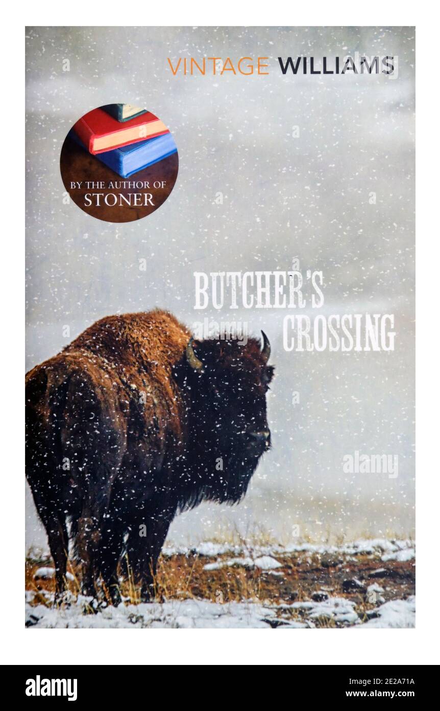 Book cover 'Butcher's Crossing' by John Edward Williams. Stock Photo