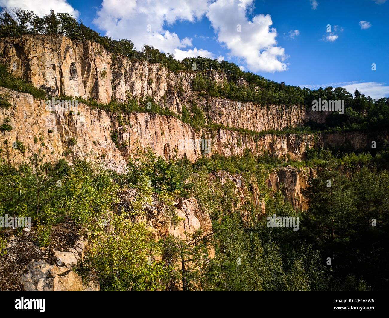 Mesmerizing shot of a rocky forest with green trees in a daytime under ...