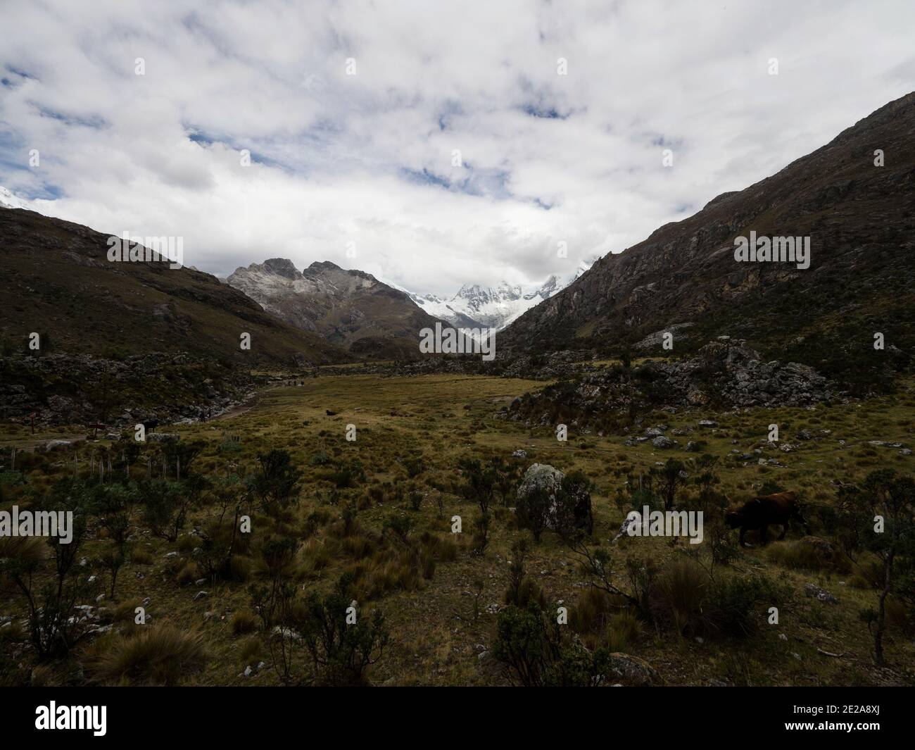Panorama view of andean mountain landscape valley near Laguna 69 Cordillera Blanca Cebollapampa Huaraz Ancash Peru South America Stock Photo
