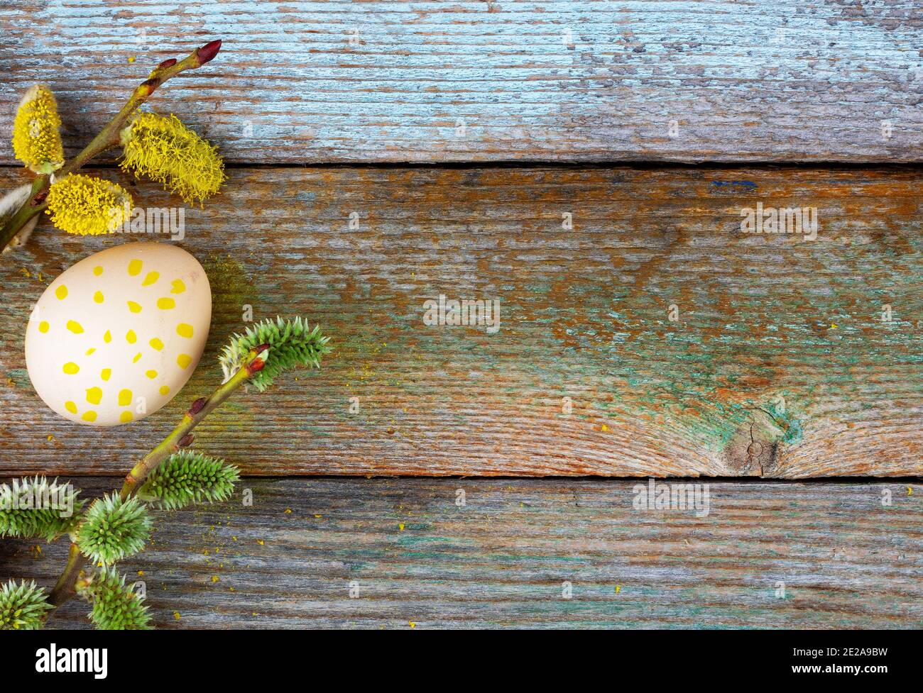 Easter composition of blooming willow twigs and Easter eggs with a ...