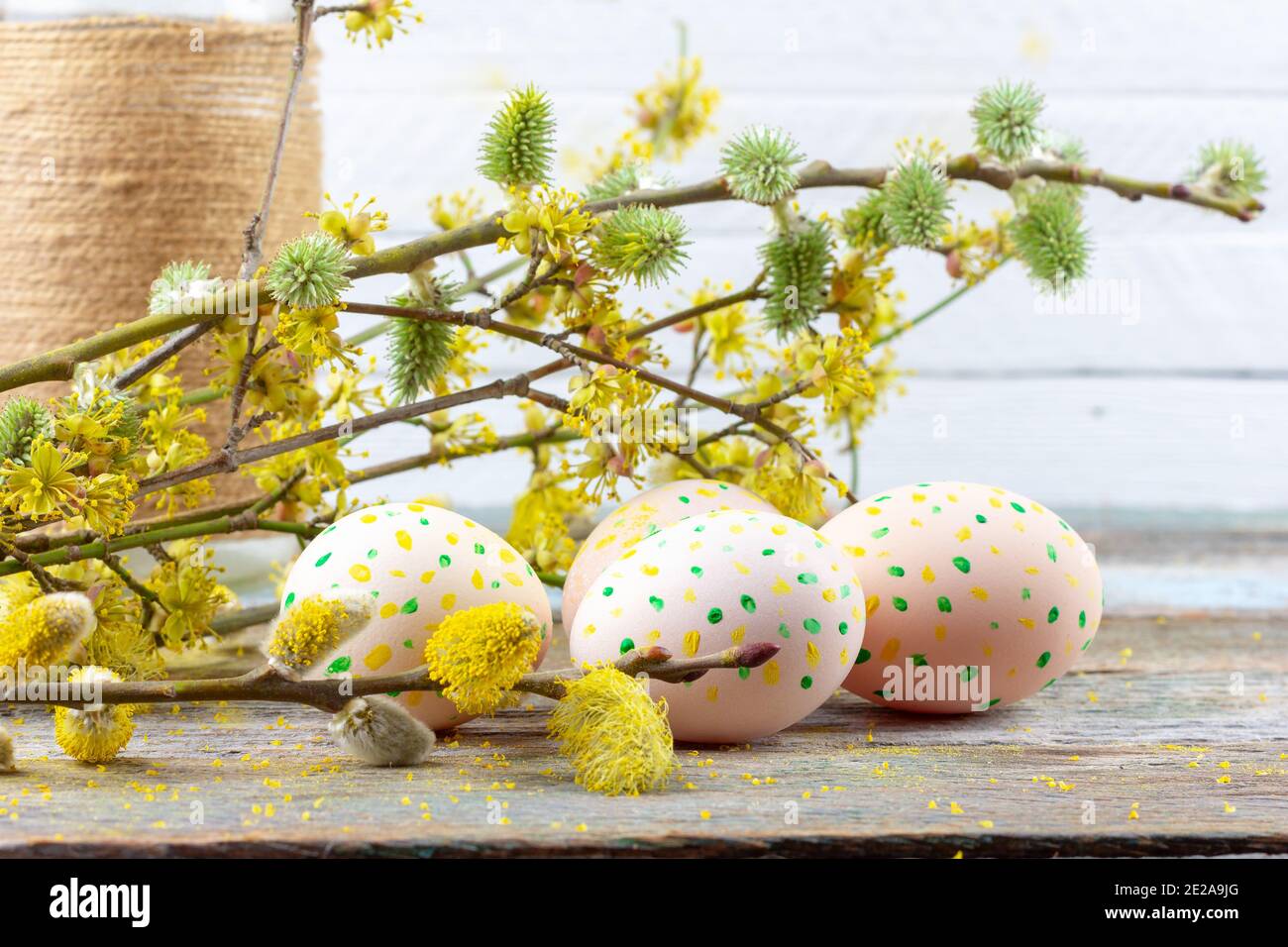 Easter composition of blooming willow twigs, dogwoods and Easter eggs ...