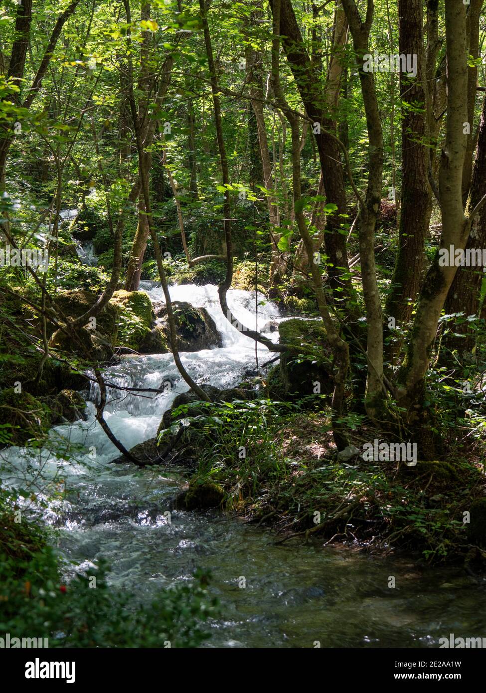 source of the Sagittario river, Gole del Sagittario, Gorges of Sagittario, Regional Nature Reserve, Anversa degli Abruzzi, Abruzzo, Italy Stock Photo