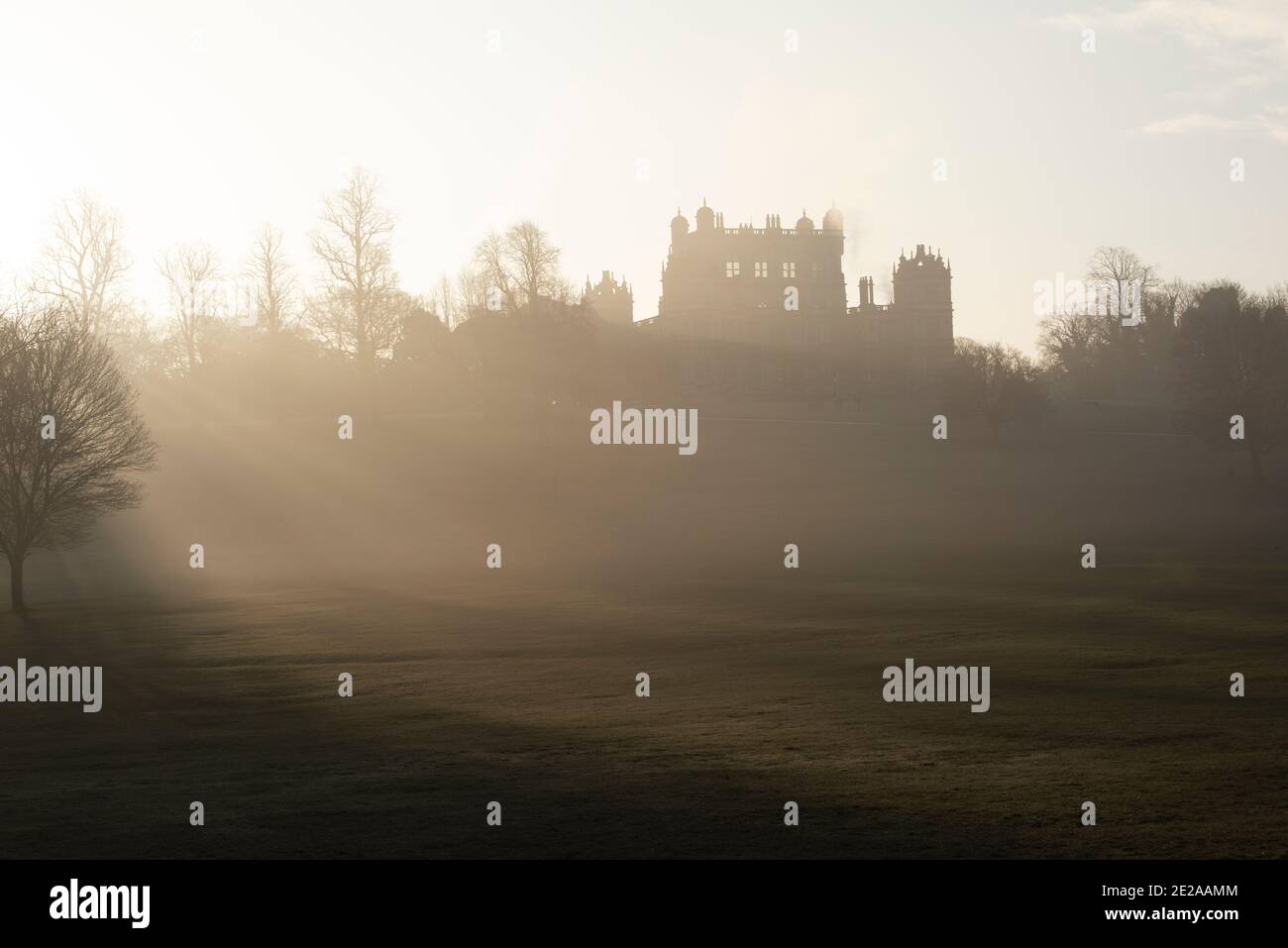 Early morning winter sunshine, light and mist at Wollaton Park