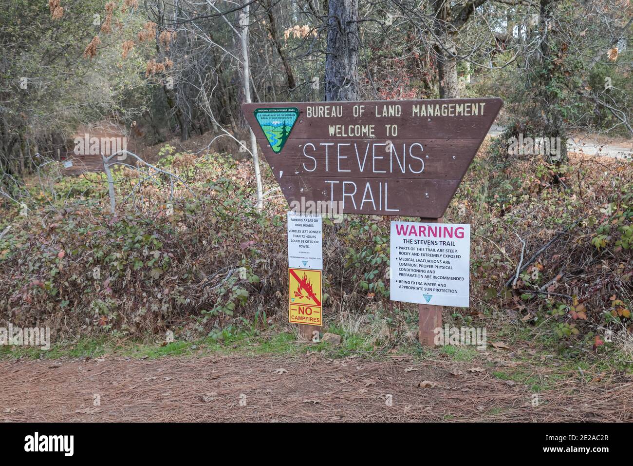 COLFAX, CALIFORNIA, UNITED STATES Jan 02, 2021 An official Bureau of