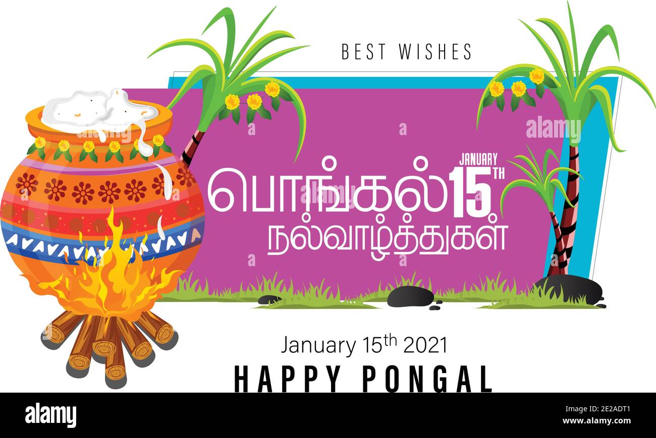 easy to use vector illustration of Happy Pongal festival of Tamil Nadu India background Stock Vector