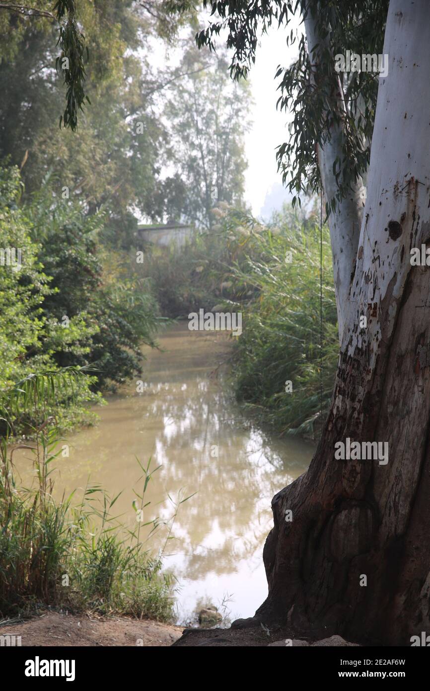 Off the beaten track in Israel A natural trail on the banks of the Yarkon river Stock Photo