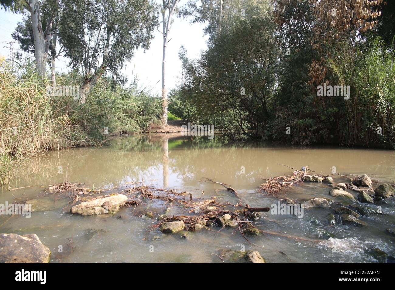 Off the beaten track in Israel A natural trail on the banks of the Yarkon river Stock Photo