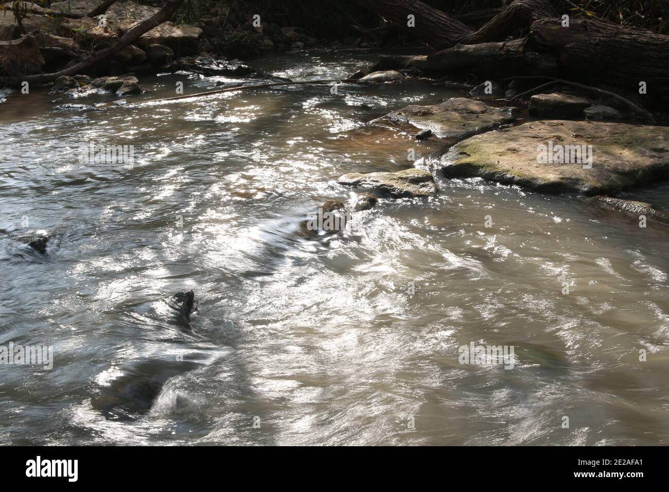 Off the beaten track in Israel A natural trail on the banks of the Yarkon river Stock Photo