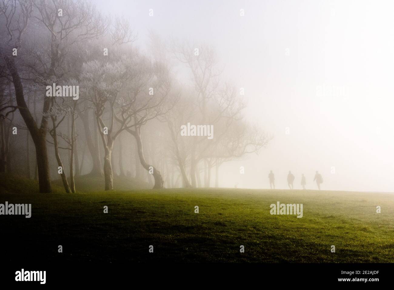 Walkers in fog on the South Downs Way near Chanctonbury Ring in Sussex Stock Photo