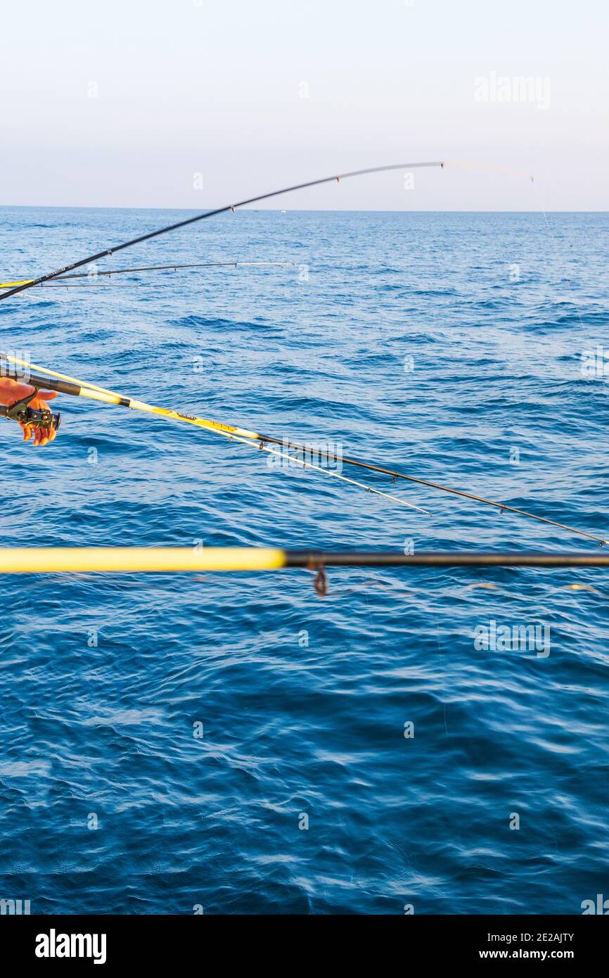 Fishing rods in boat during fishery in sea. Successful fishing concept. copyspace Stock Photo