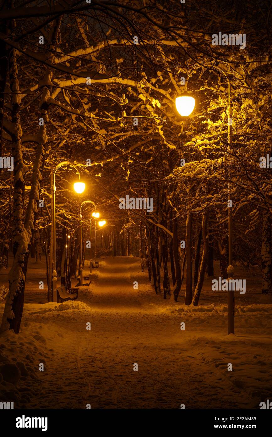 Winter park in the evening covered with snow with a row of lamps Stock ...