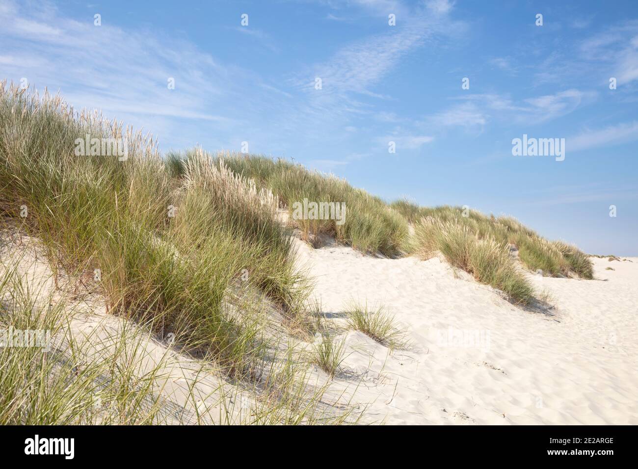 Dünenlandschaft im Nationalpark, UNESCO-Weltnaturerbe Wattenmeer, Borkum, Ostfriesische Insel, Niedersachsen, Deutschland, Europa Stock Photo