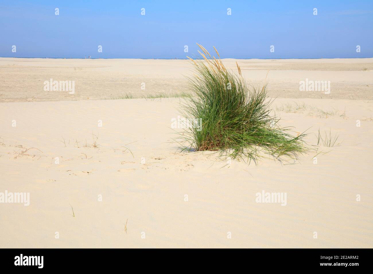 White sand beach at Borkum island, East Frisian Island, East frisia, Lower Saxony, Germany, Europe Stock Photo