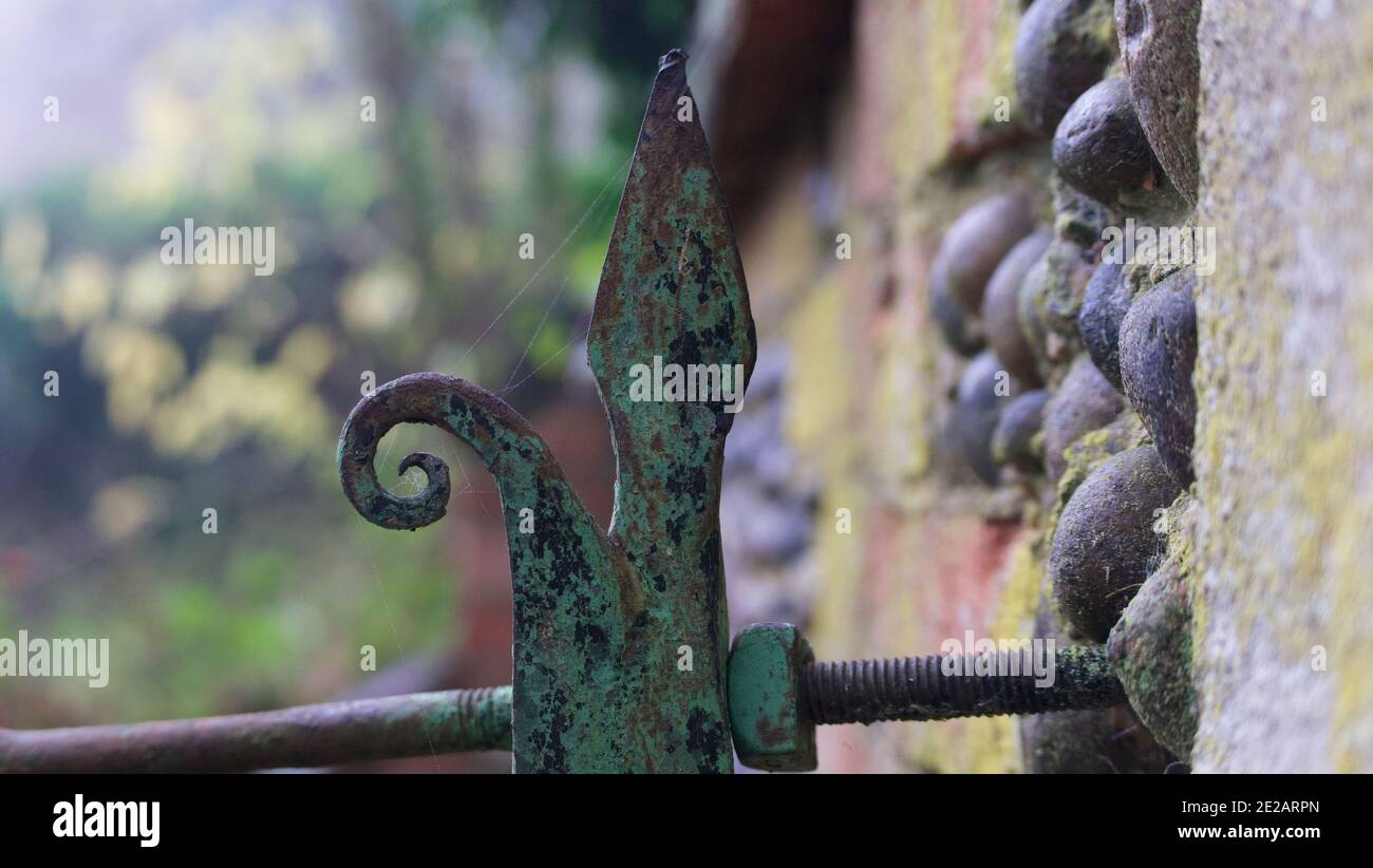 Garden fixing in shape of rusted fleur de lys fixed to old wall Stock Photo