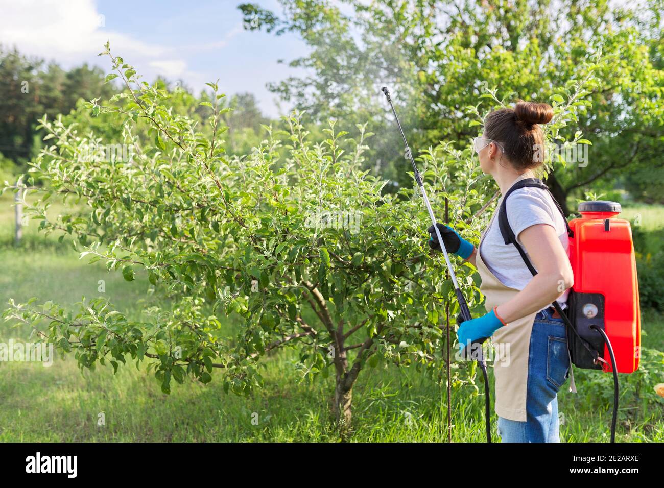 Spraying trees in spring protection hi-res stock photography and images ...