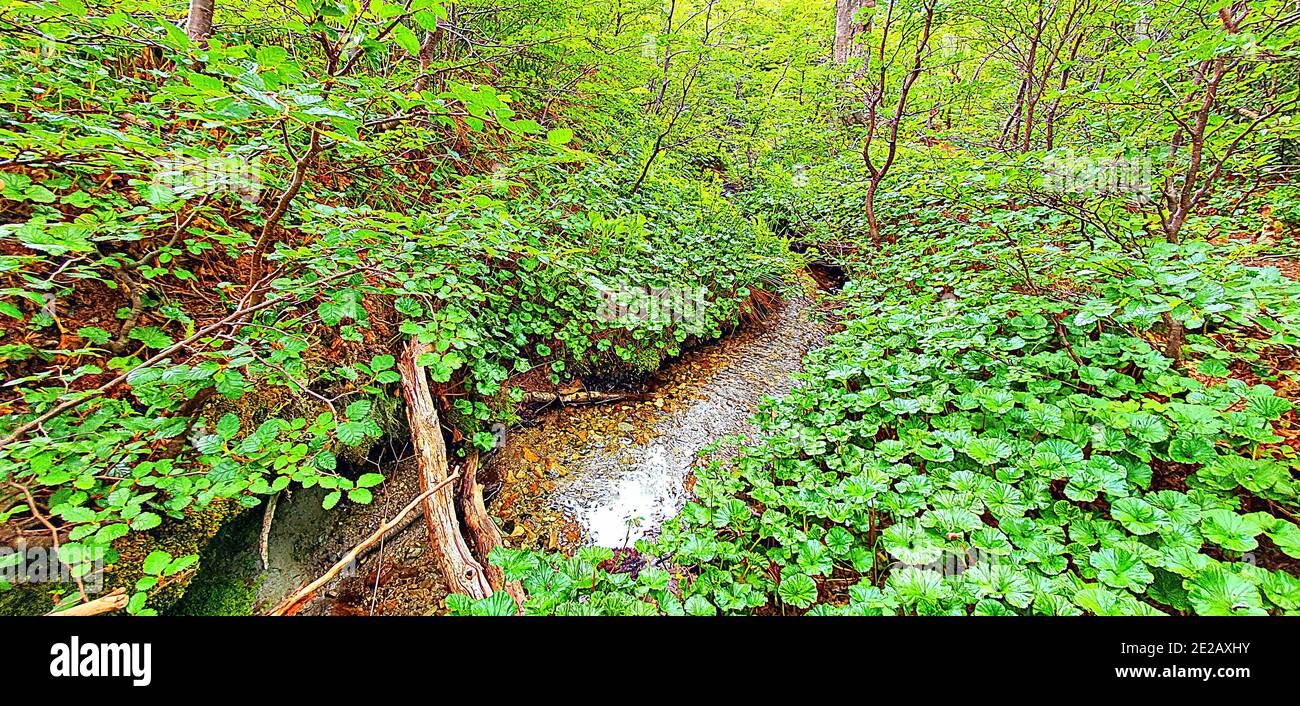 Beautiful natural landscape shot hi-res stock photography and images ...