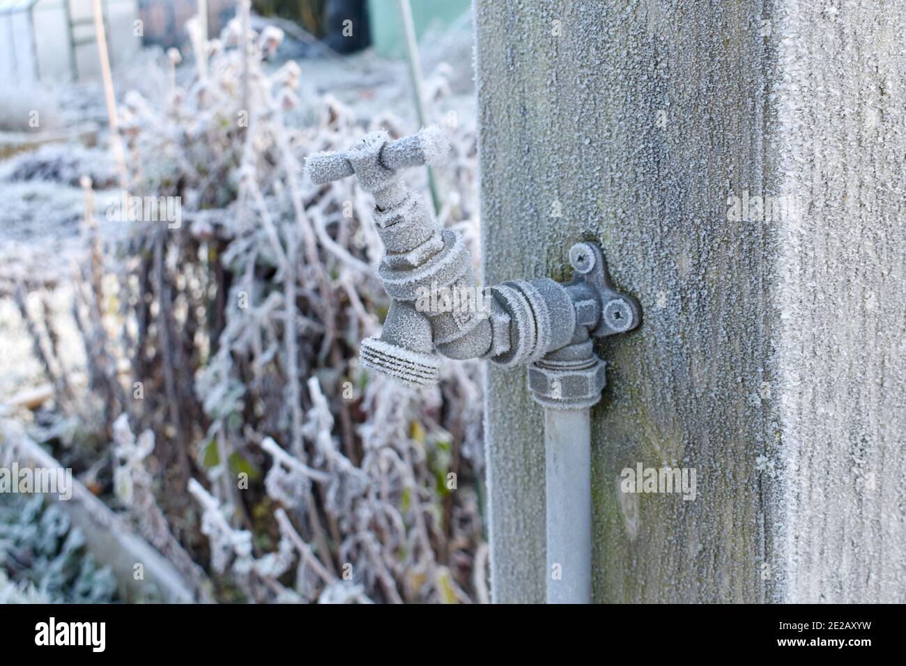 close up of outdoor water tap covered in frost attached to a wooden post on an allotment garden