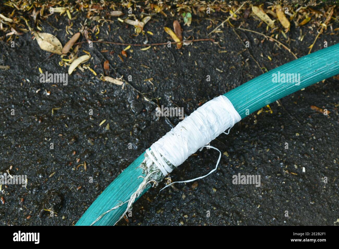 crack green watering rubber tube repairing by white tape roll with dry