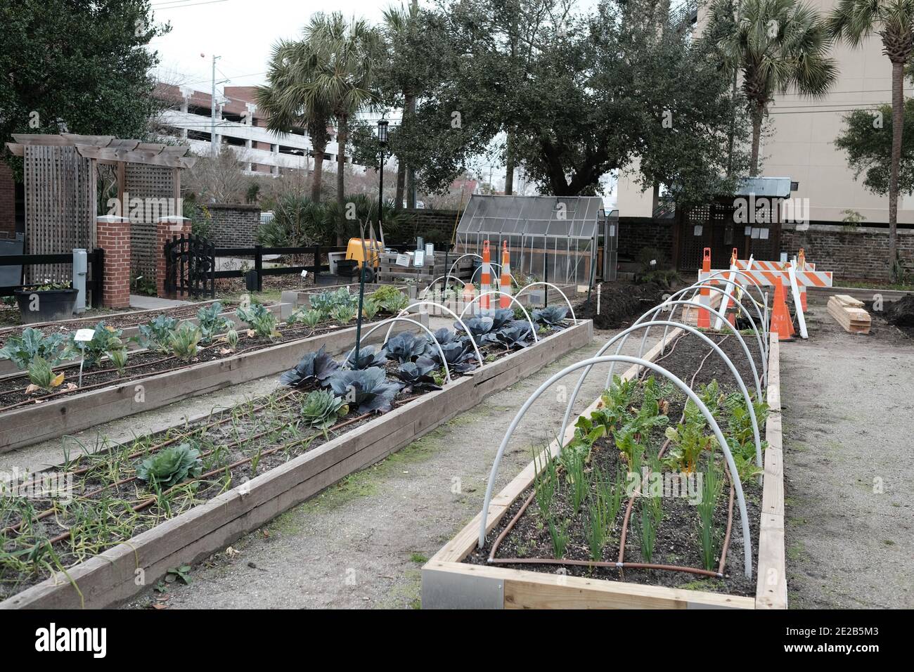 Urban Gardens with new features like butterfly wings, new soil plot