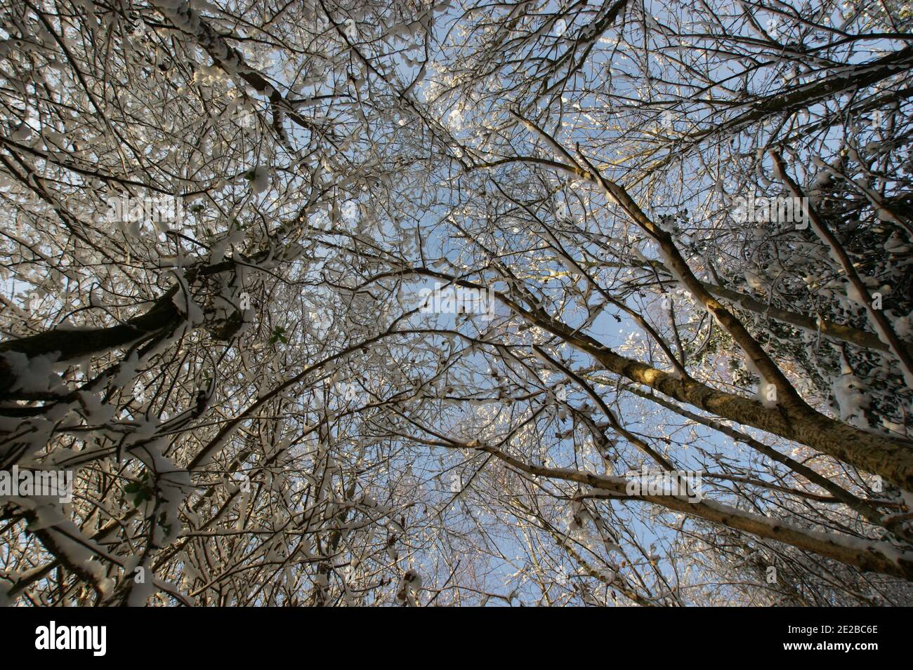 Blue sky snowscape hi-res stock photography and images - Alamy