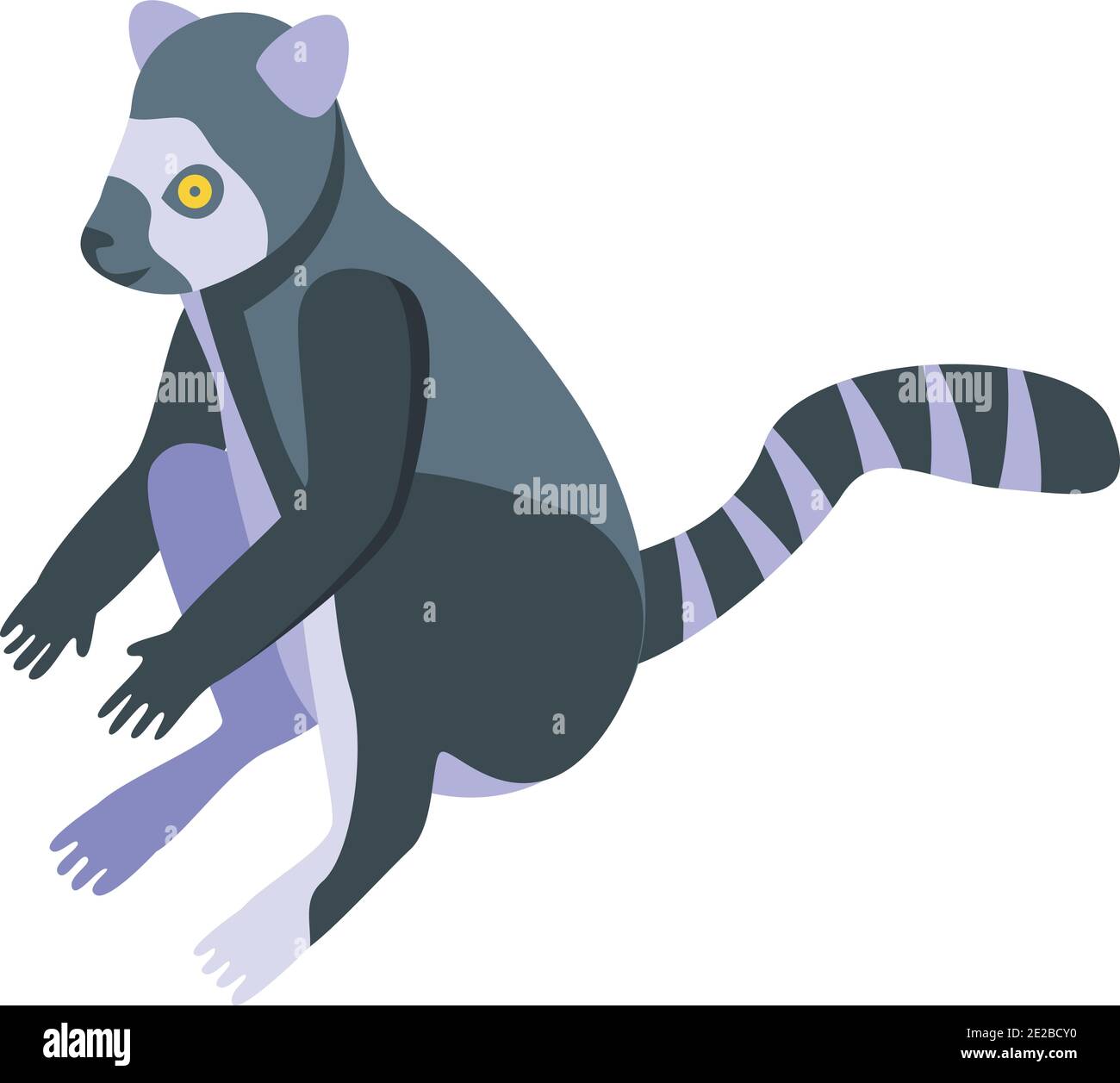 Mammal lemur icon. Isometric of mammal lemur vector icon for web design ...