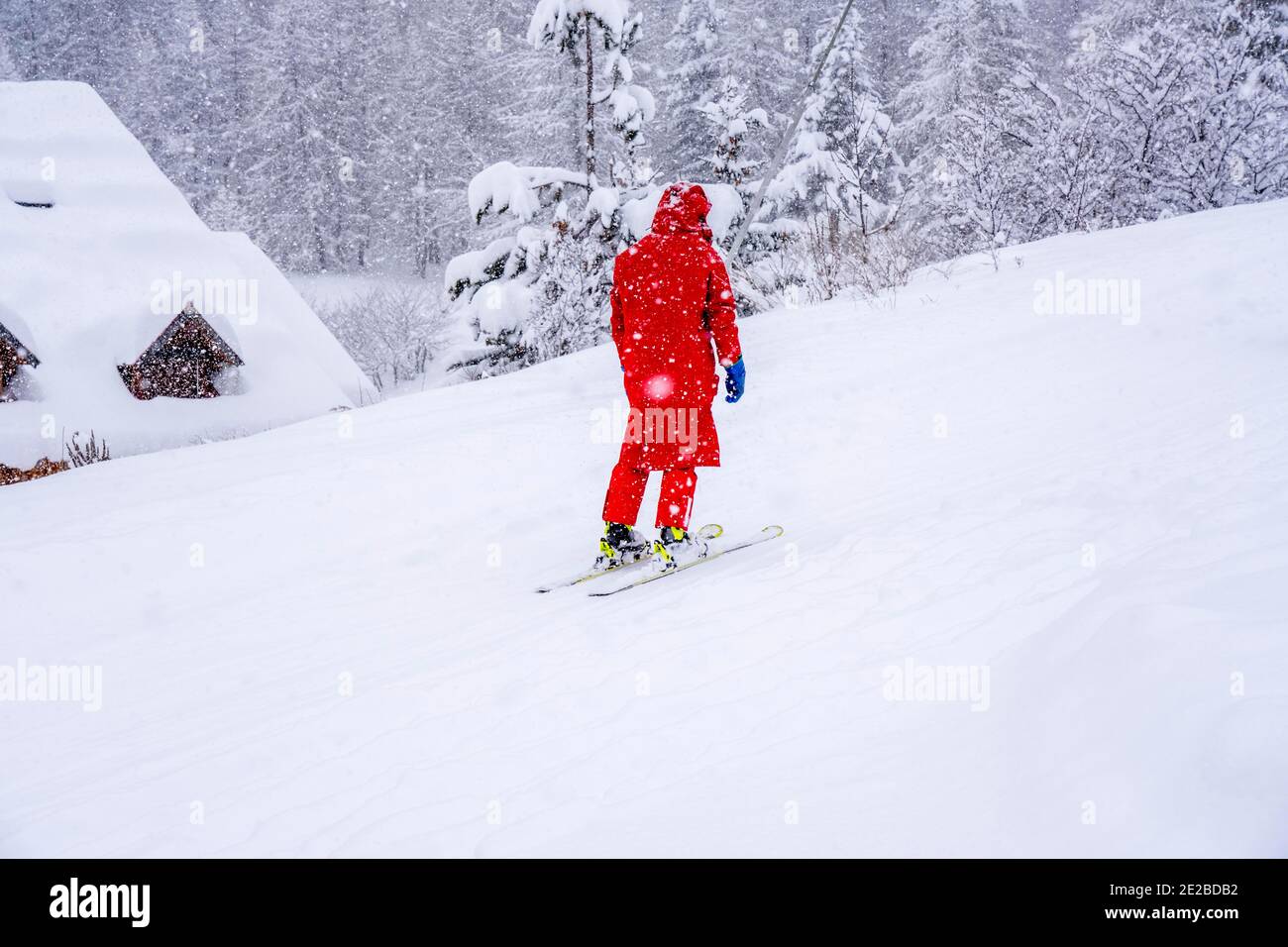 Professional ski instructor lifting on the ski drag lift rope to the mountain during snowfall. Family and children active vacation concept. Blurred focus background. Hight quality photo Stock Photo