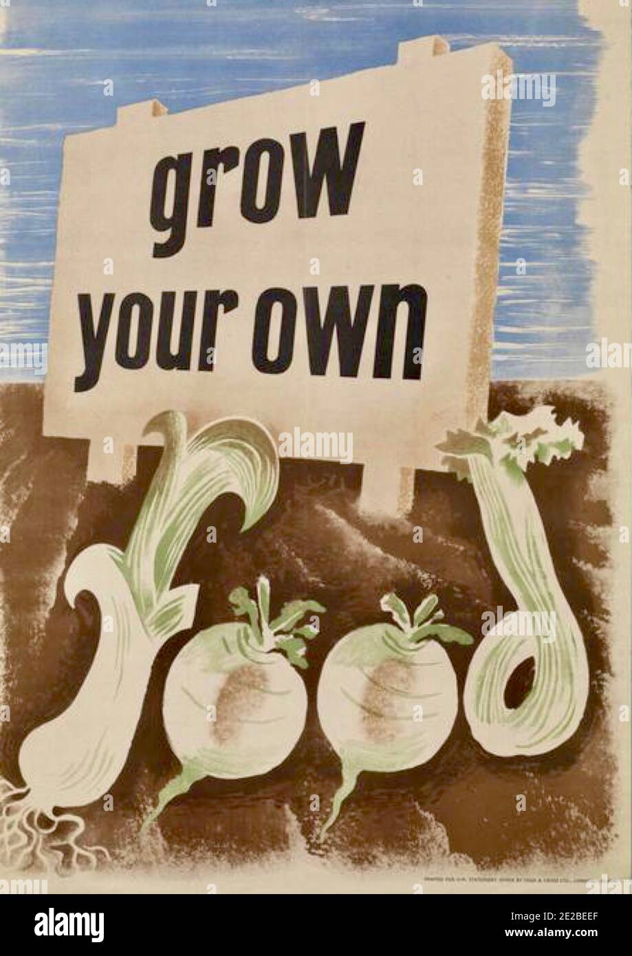 British government public information poster from the Second World War encouraging people to grow their own food. Stock Photo