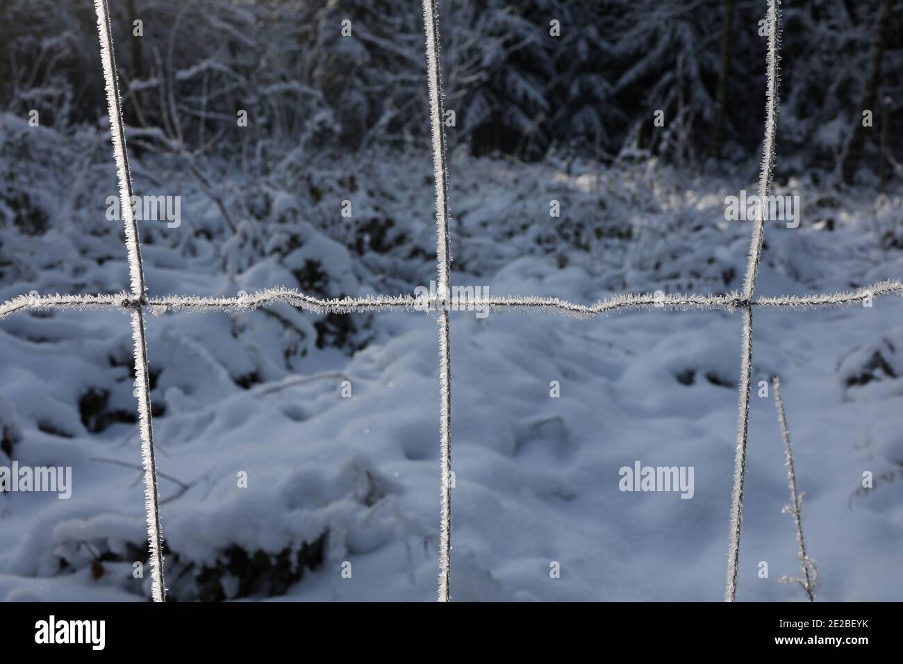 Safety mesh in snow hi-res stock photography and images - Alamy