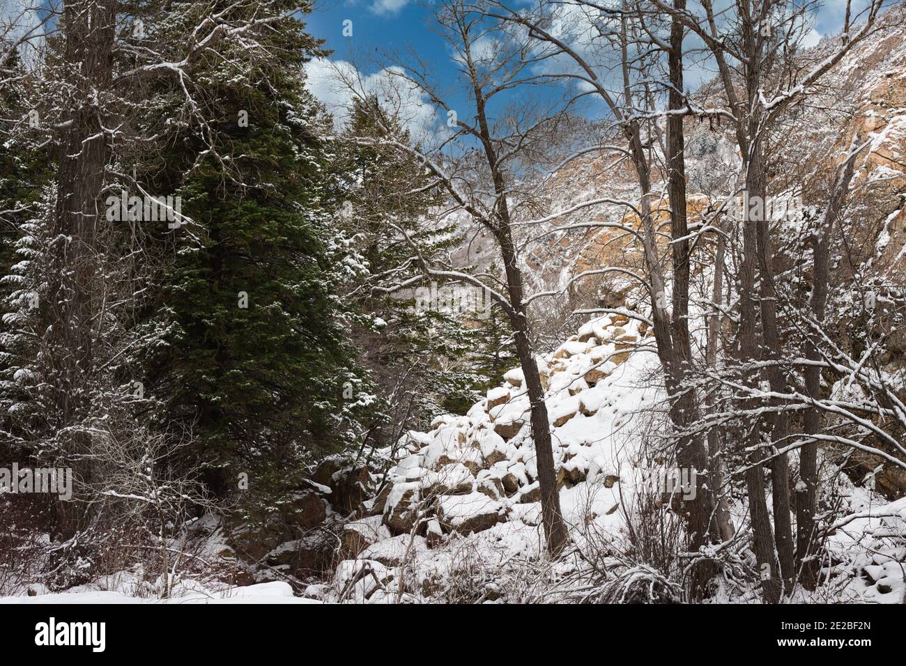 Beautiful Shot Of The Snowy Rocks And Trees During The Winter Season Stock Photo Alamy Beautiful Shot Of The Snowy Rocks And Trees During The Winter Season Stock Photo Alamy