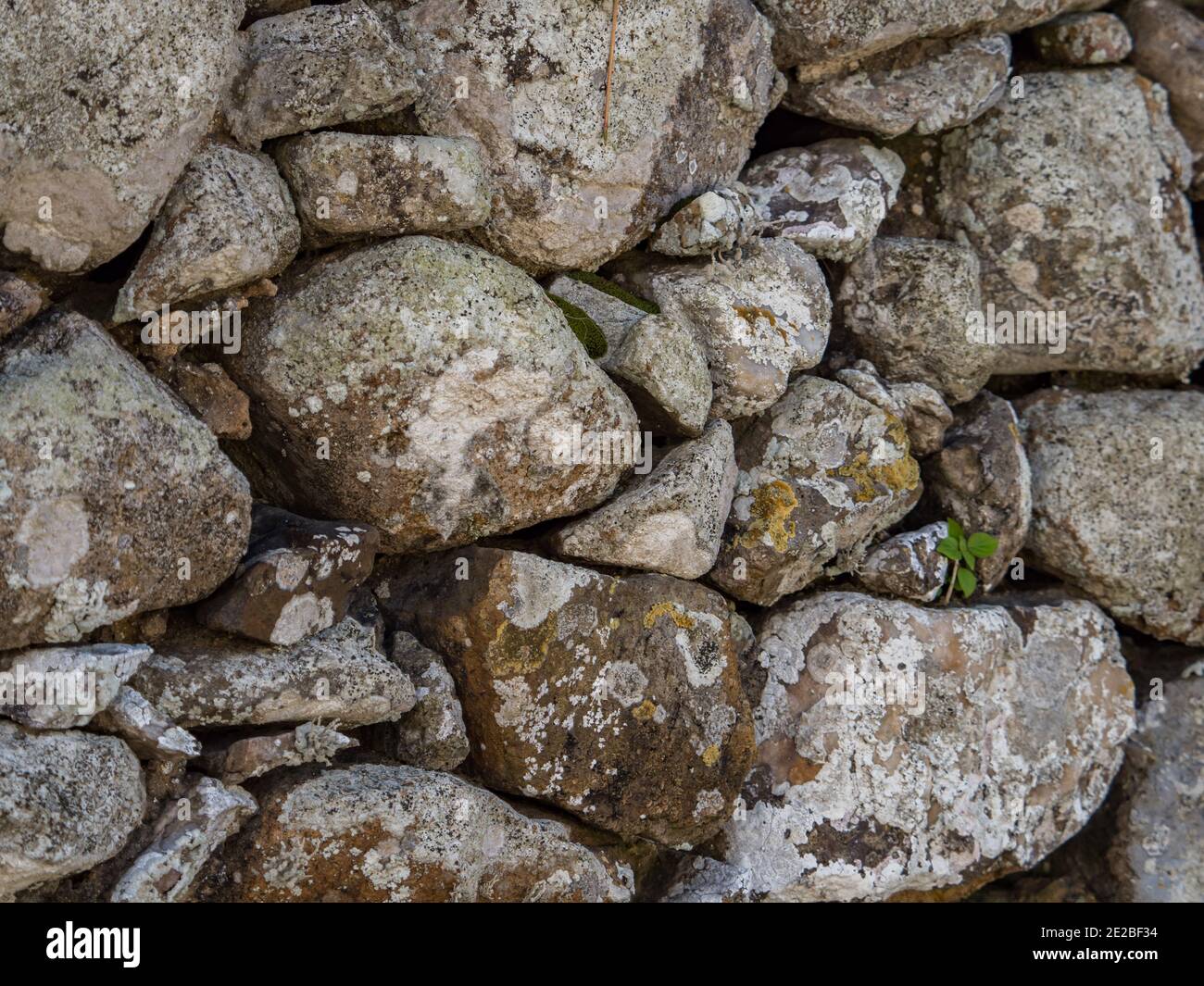 Background. Texture. The wall made of multi-sized stones Stock Photo