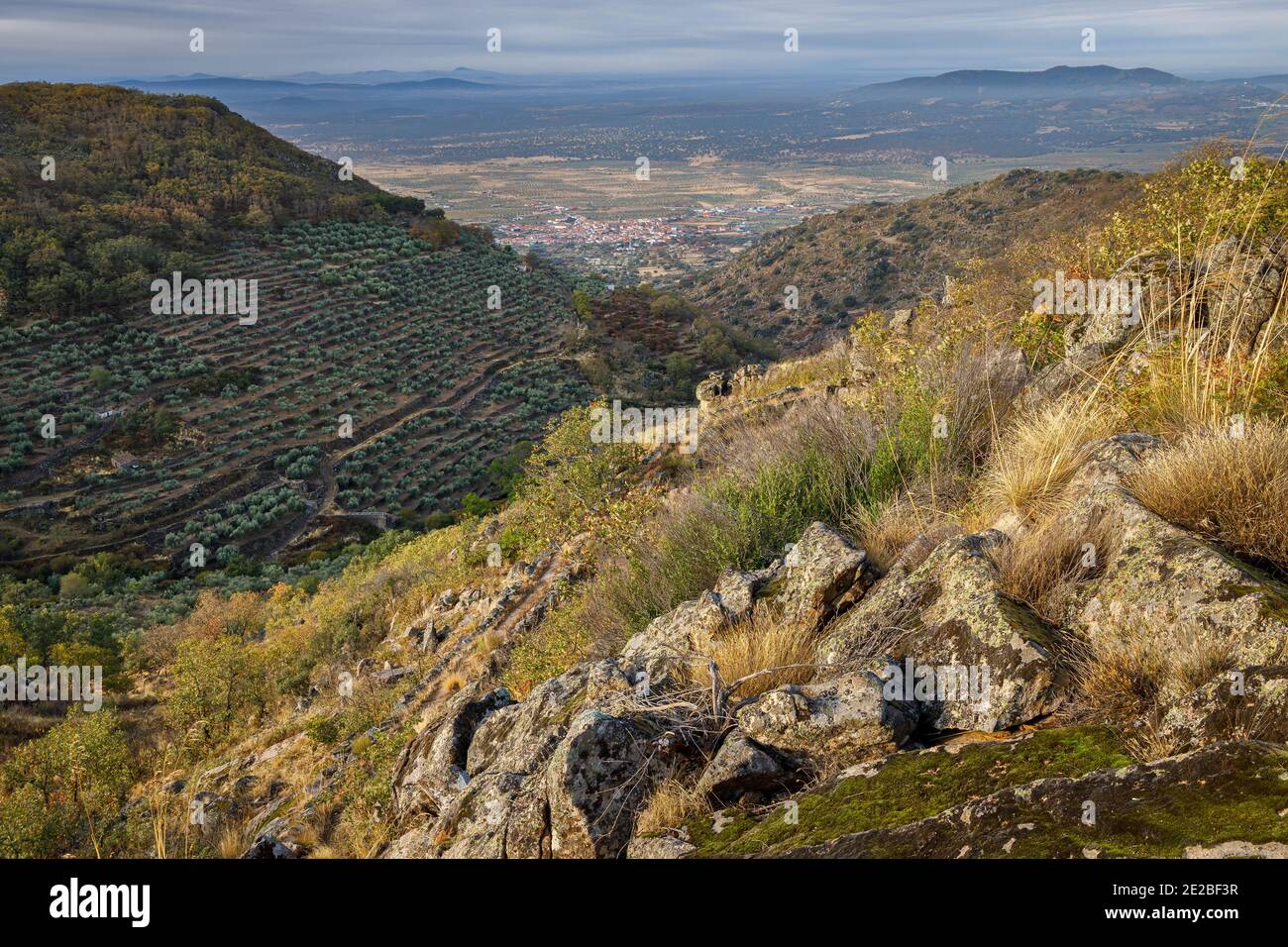 Landscape near montanchez. Extremadura. Spain. Stock Photo