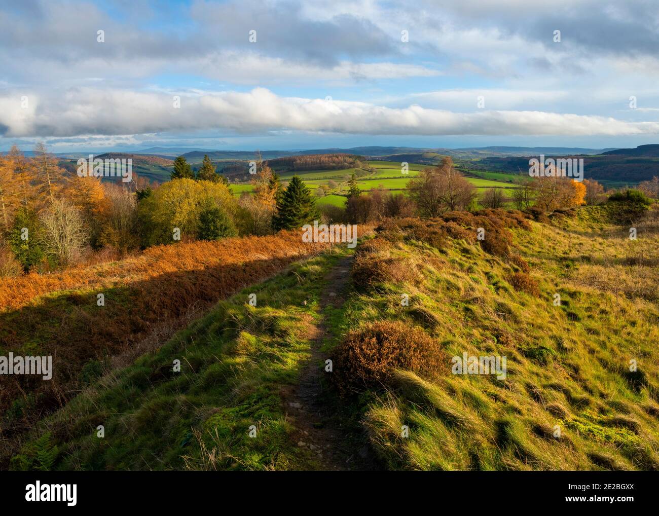 Bury ditches hillfort hires stock photography and images Alamy