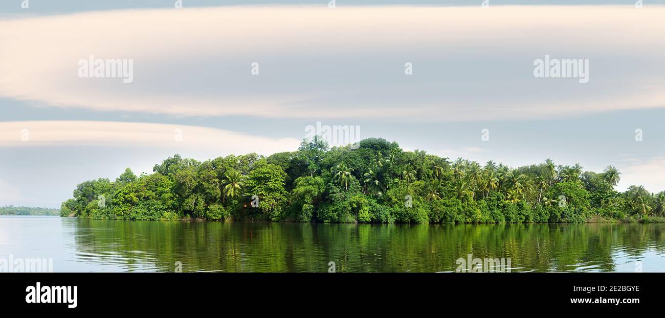 Gross vegetation of the tropical jungle. Covered with rain forests, the  island seems to be a tropical Paradise for plants and animals, but not for  an Stock Photo - Alamy