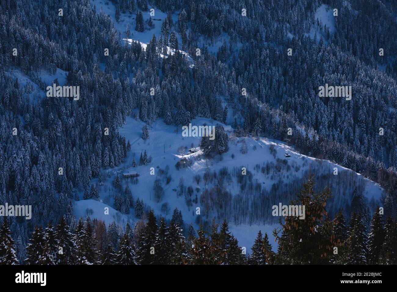 Snowcapped mountains and fir trees. Frost and clean air. Winter