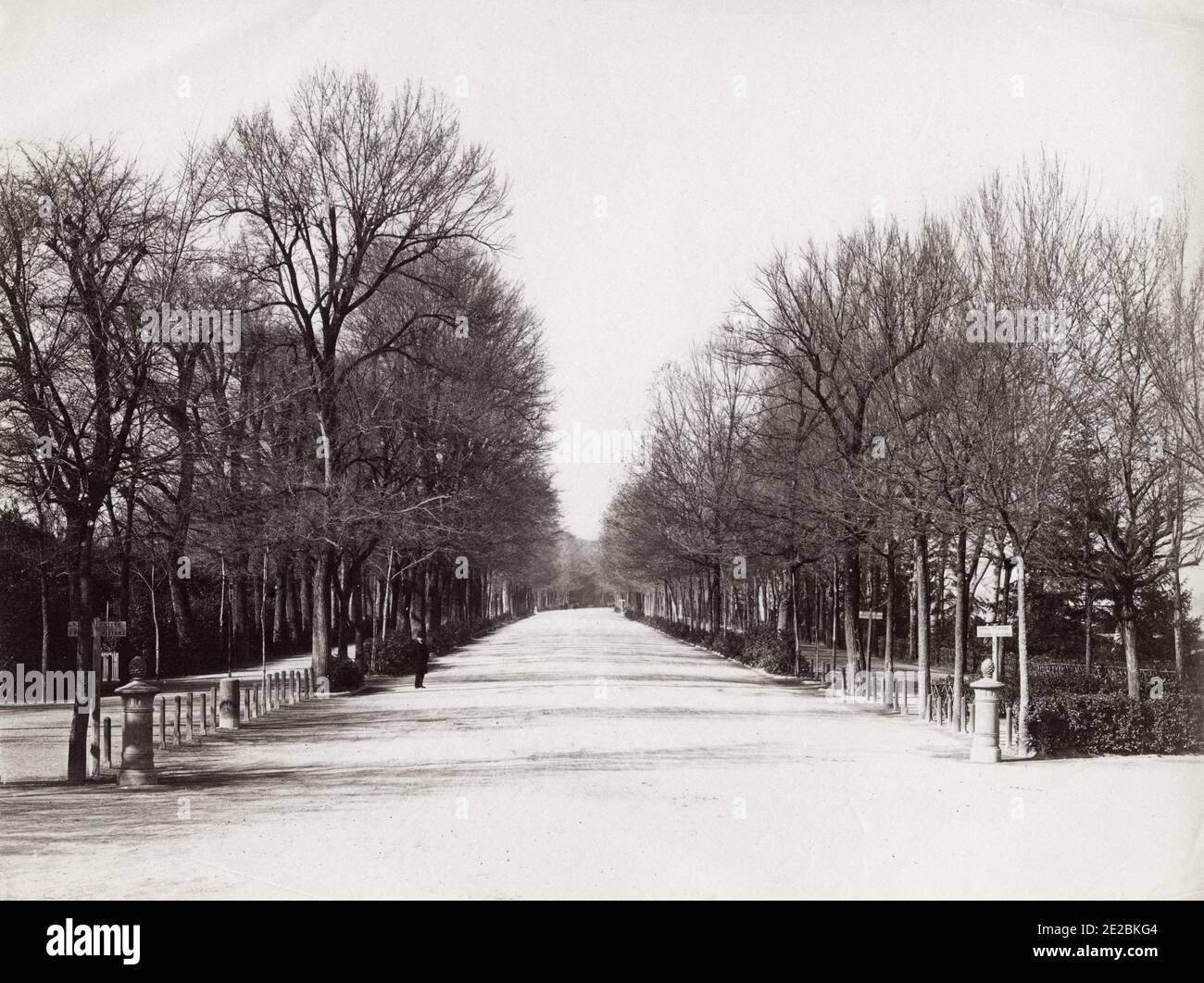 19th century vintage photograph: The Parco delle Cascine (Cascine Park) is a monumental and historical park in the city of Florence. The park covers an area of 160 hectares (395 acres). It has the shape of a long and narrow stripe, on the north bank of the Arno river, c.1890's. Stock Photo
