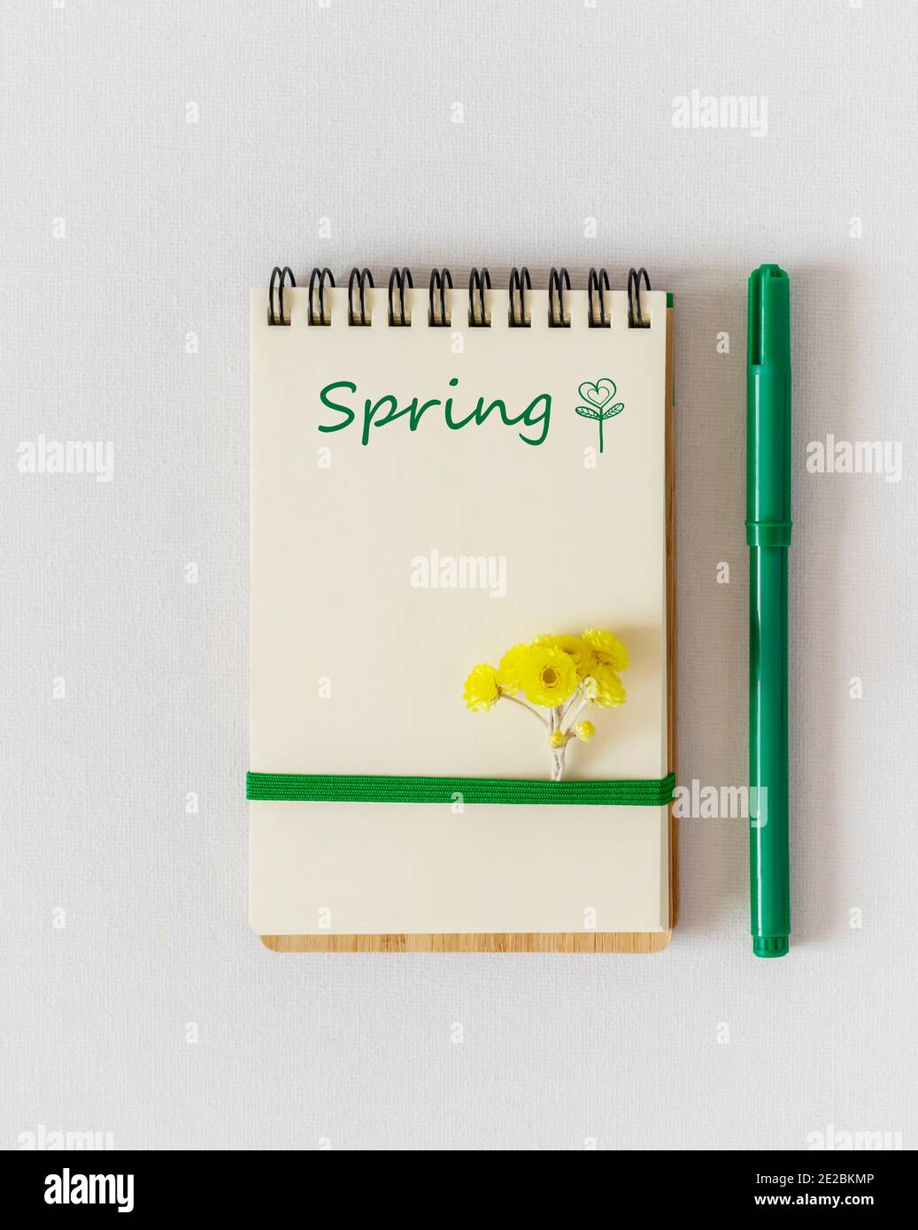 Open notebook with a white sheet, the inscription spring, copy space, spring flowers and a green felt-tip pen on a white background. Spring, sunny com Stock Photo