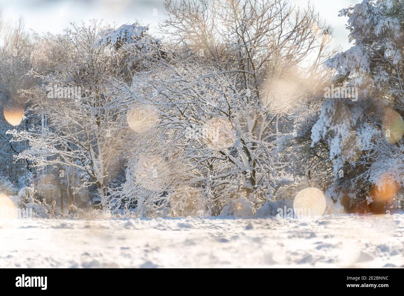 English snow scene Stock Photo
