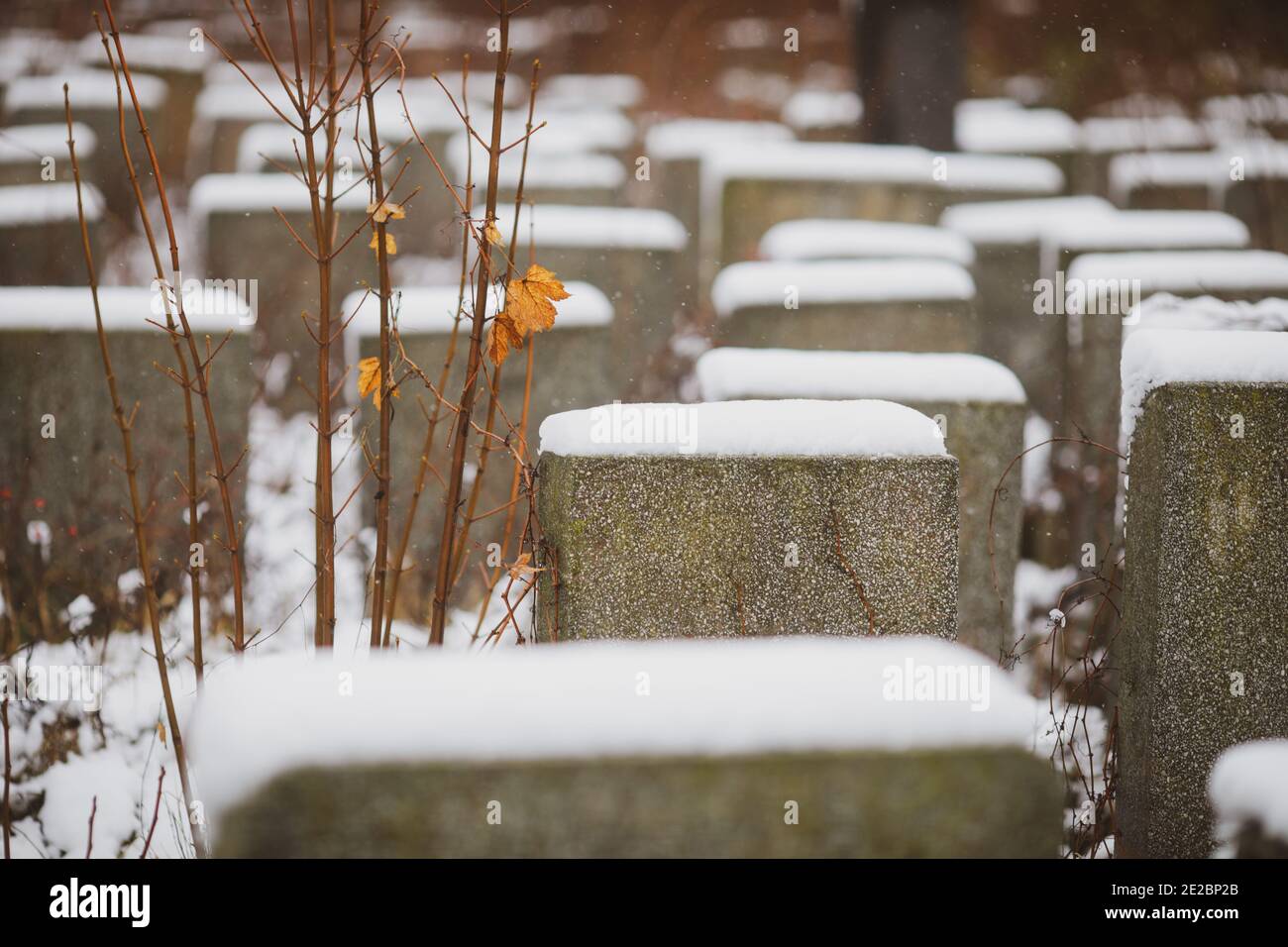 Tombstones in a jewish cemetery during a cold and snowy winter day. Stock Photo