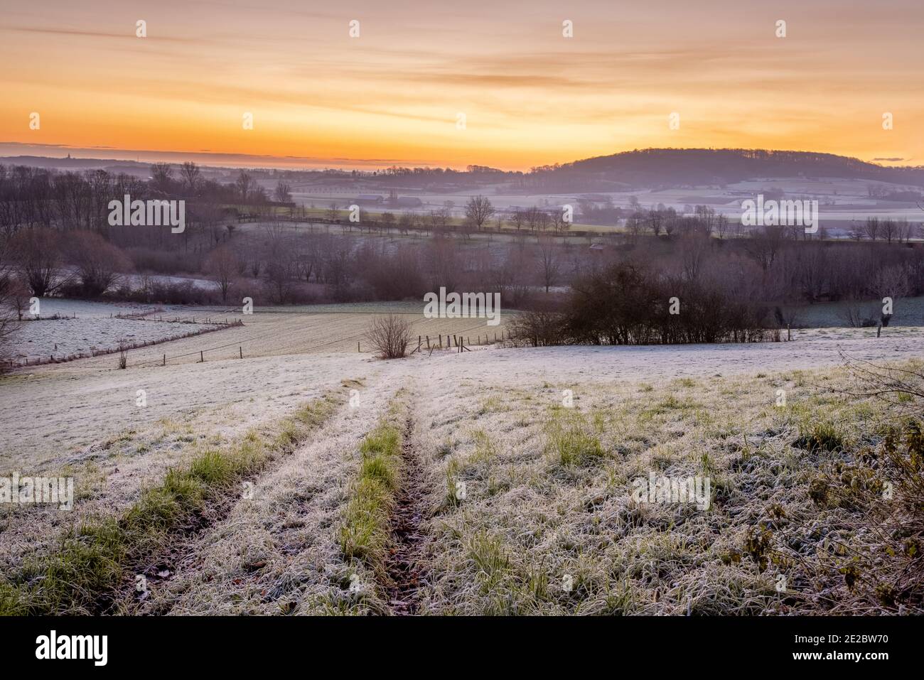 Een winterse ochtend in het vlaamse Heuvelland met zicht op de kemmelberg.A winter morning in the Heuvelland with a view of the Kemmelberg. Stock Photo
