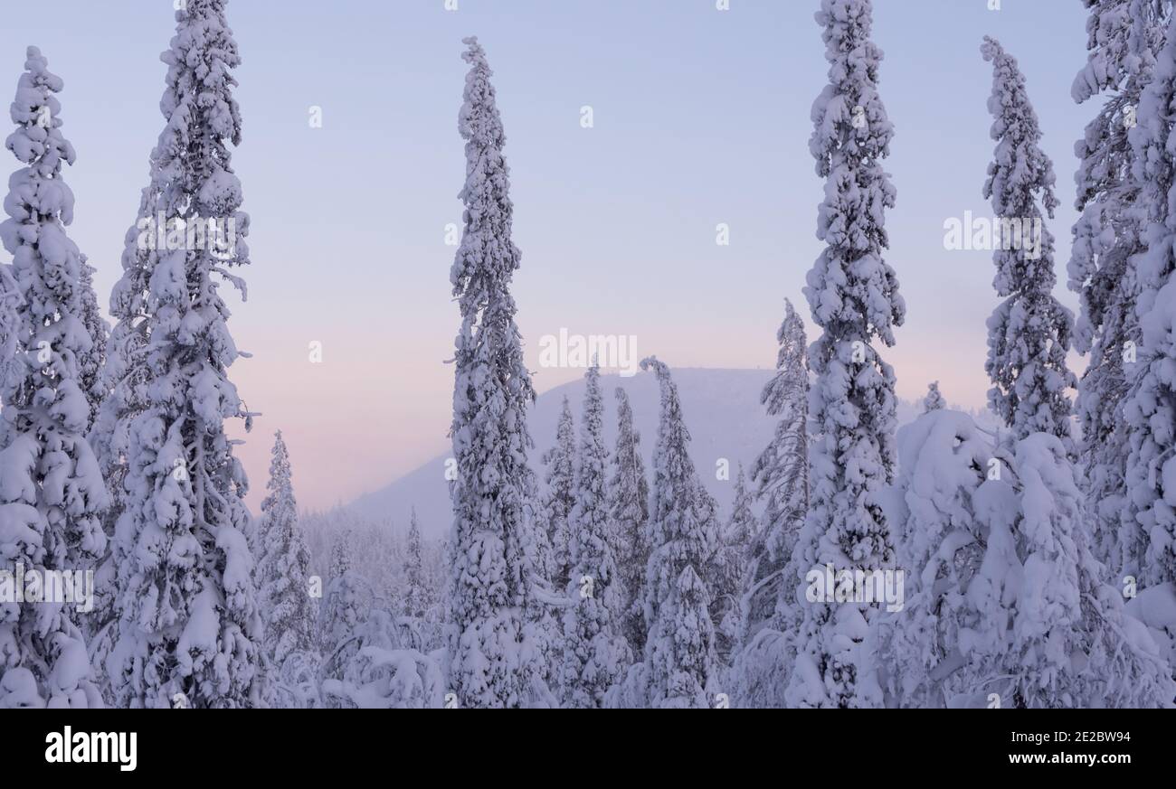 Snowy forest and  mountain in Finland's Lapland Stock Photo
