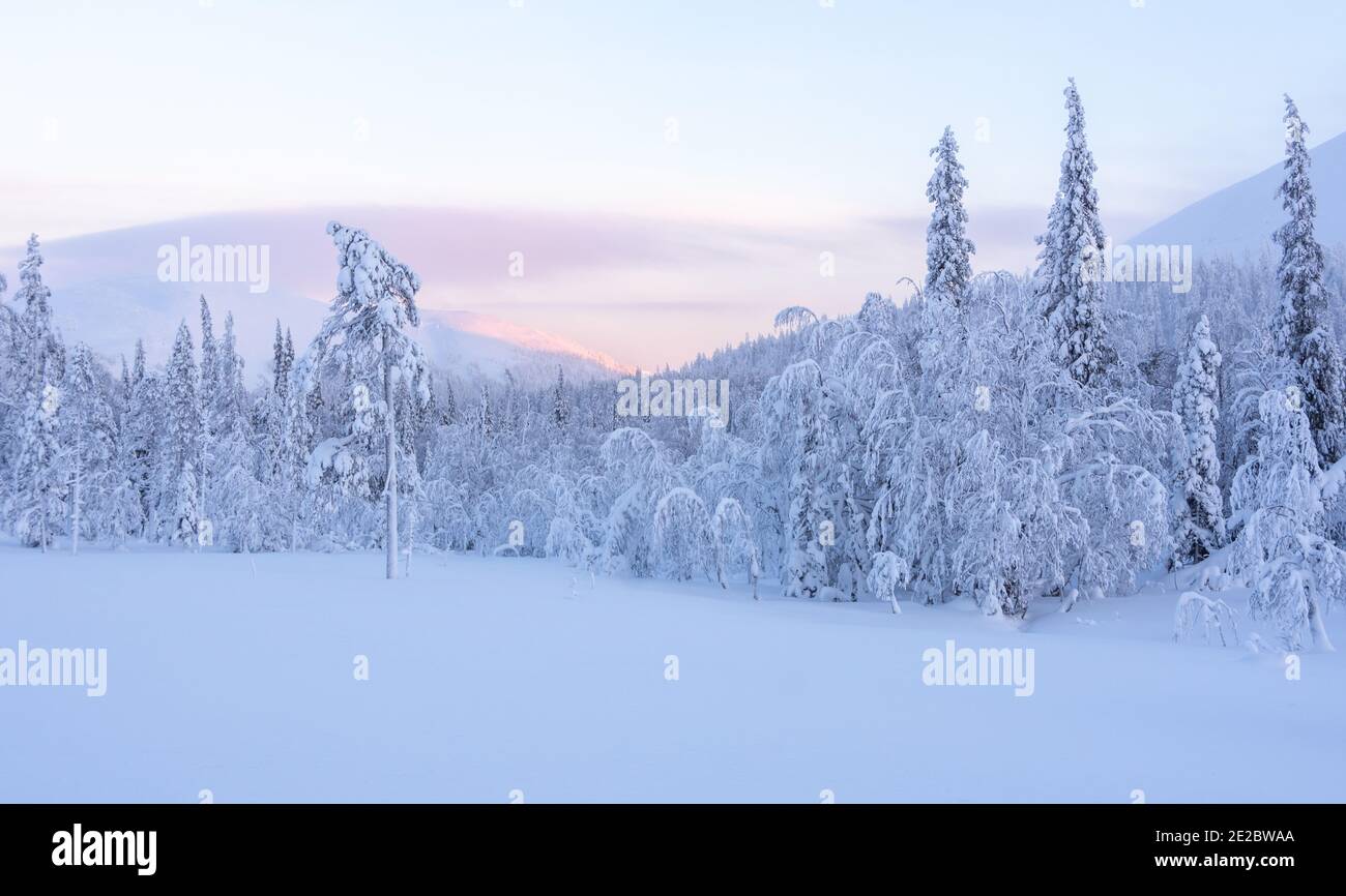 Snowy forest and  mountain in Finland's Lapland Stock Photo