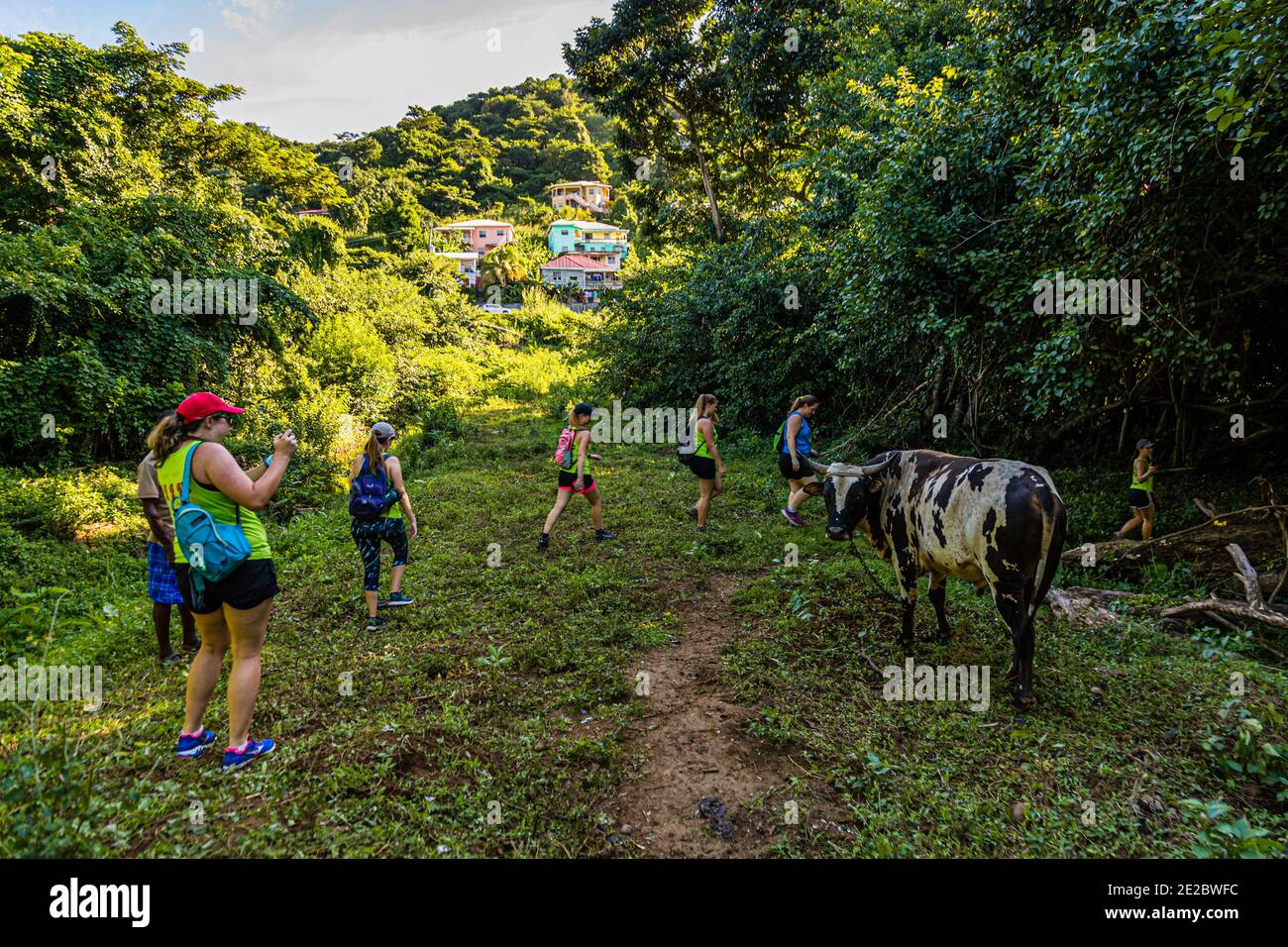Hash House Harriers Running Event in Happy Hill, Grenada Stock Photo