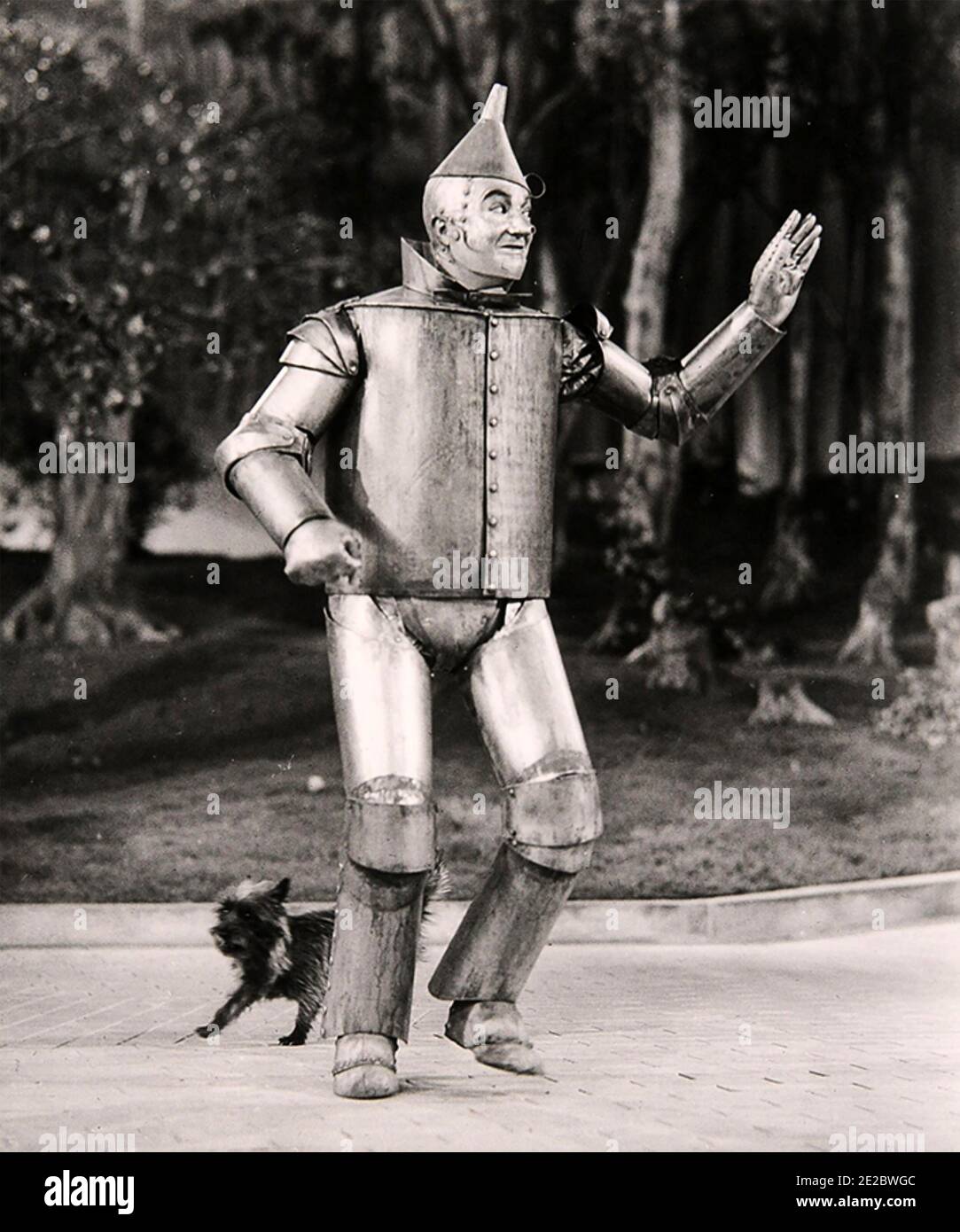 THE WIZARD OF OZ 1939 MGM film with Jack Haley as Hickory - the Tin Man Stock Photo