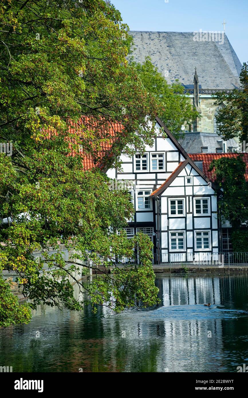 Half timber housing with village pond. Germany Stock Photo